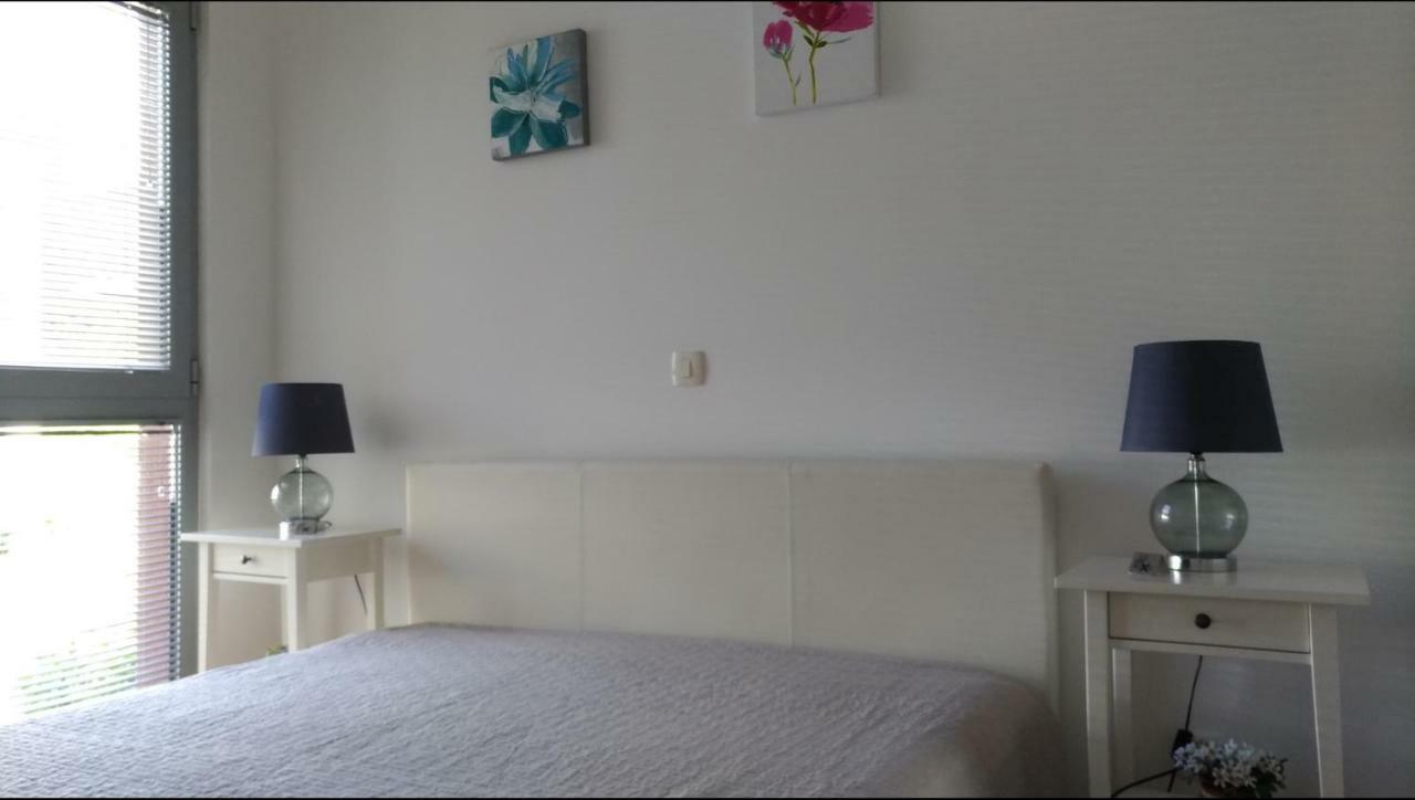Apartments Acacia Hill Ðenovići エクステリア 写真