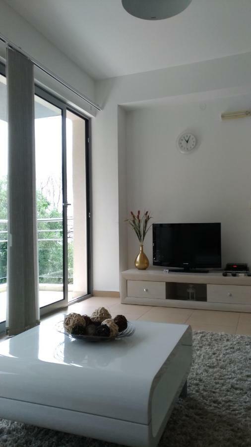Apartments Acacia Hill Ðenovići エクステリア 写真